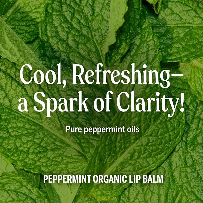 Dr. Bronner's - Organic Lip Balm - Made - Image 3
