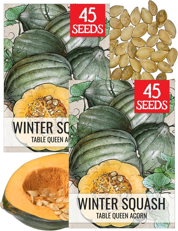 Seed Needs Winter Squash Seeds for Planting Table Queen Squashes by SeedNeeds