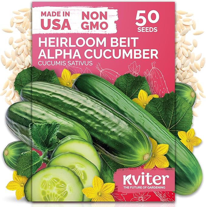 KVITER 50 Beit Alpha Cucumber Seeds by KVITER