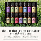 P&J Trading Fragrance Oil Favorite Set | Candle Scents - Image 5