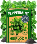HOME GROWN Non GMO Peppermint Seeds Pack 2, 370 Heirloom Mint Seeds by HOMEGROWN