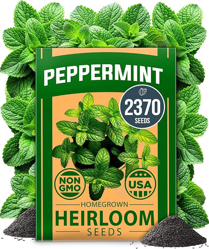 HOME GROWN Non GMO Peppermint Seeds Pack 2, 370 Heirloom Mint Seeds by HOMEGROWN