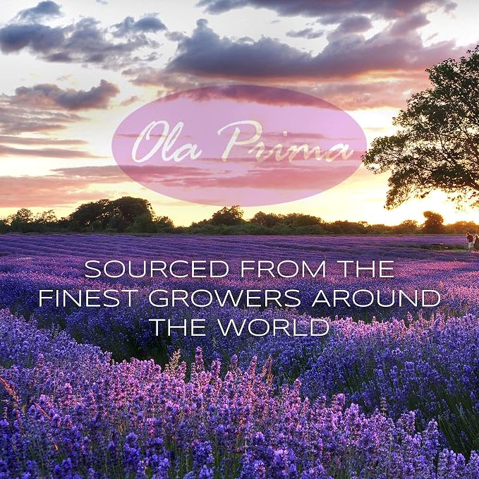 Ola Prima Rose Geranium Essential Oil - Image 3