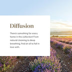 Young Living Everyday Oils Essential Oil Collection | 10 Popular Essential Oils - Image 8