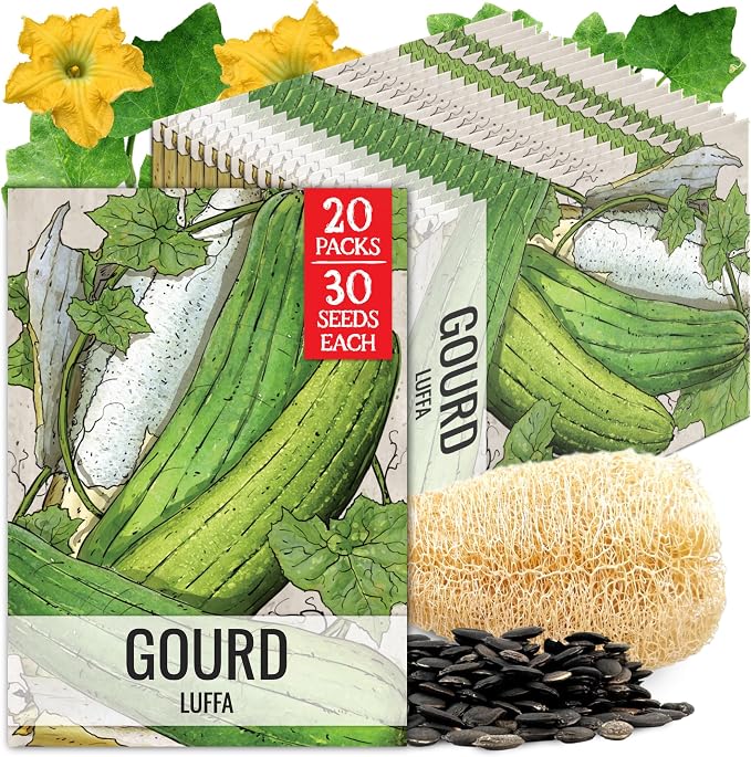Seed Needs Luffa Seeds for Planting Loofah Sponge Gourds by SeedNeeds