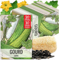 Seed Needs Luffa Seeds for Planting Loofah Sponge Gourds by SeedNeeds