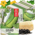 Seed Needs Luffa Seeds for Planting Loofah Sponge Gourds by SeedNeeds