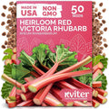 KVITER 50 Red Victoria Rhubarb Seeds by KVITER