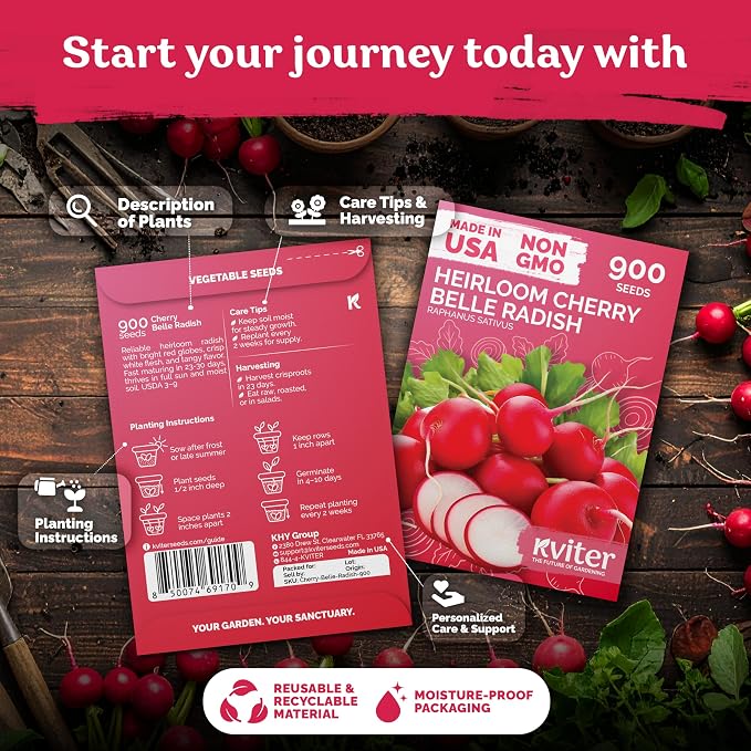 KVITER 900 Cherry Belle Radish Seeds - Image 2