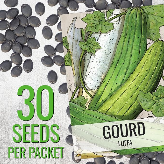Seed Needs Luffa Seeds for Planting Loofah Sponge Gourds - Image 3