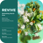 OLLY Revive Body Wash with Magnesium, Electrolytes & Vitamin B12– Nourishing - Image 3