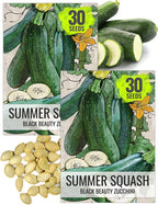Seed Needs Black Beauty Squash Seeds by SeedNeeds