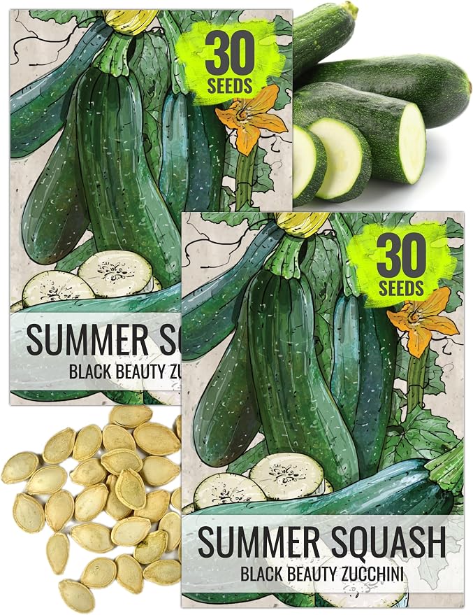 Seed Needs Black Beauty Squash Seeds by SeedNeeds