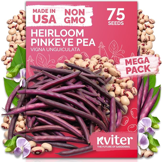 KVITER 75 Top Pick Pinkeye Cow Pea Seeds by KVITER