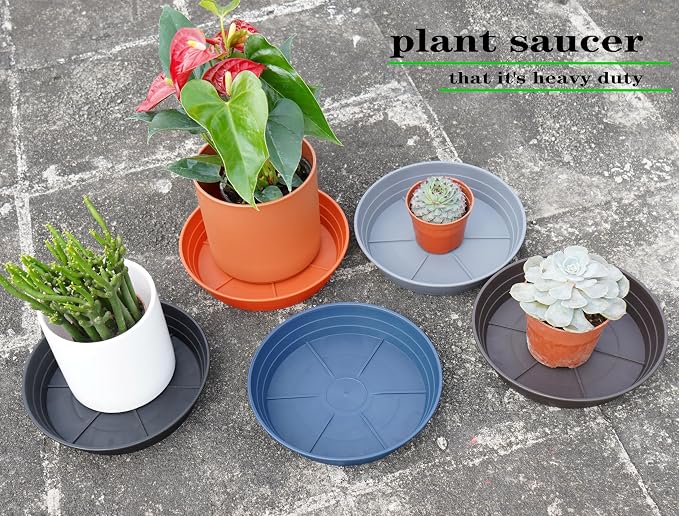 LWALRS 4 Packs 6 Inches Plant Saucer Drip Trays, Round Plastic Plant Pot - Image 7