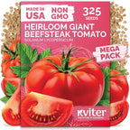 KVITER 325 Giant Beefsteak Tomatoes Seeds – Beef Steak Tomato Seed Packets by KVITER