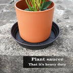 LWALRS 4 Packs 6 Inches Plant Saucer Drip Trays, Round Plastic Plant Pot - Image 3