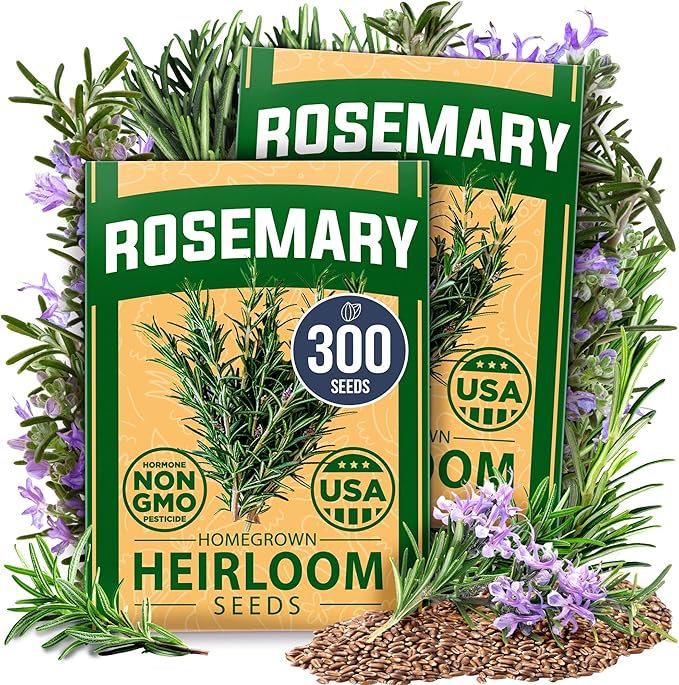 HOME GROWN Rosemary Seeds Pack by HOMEGROWN