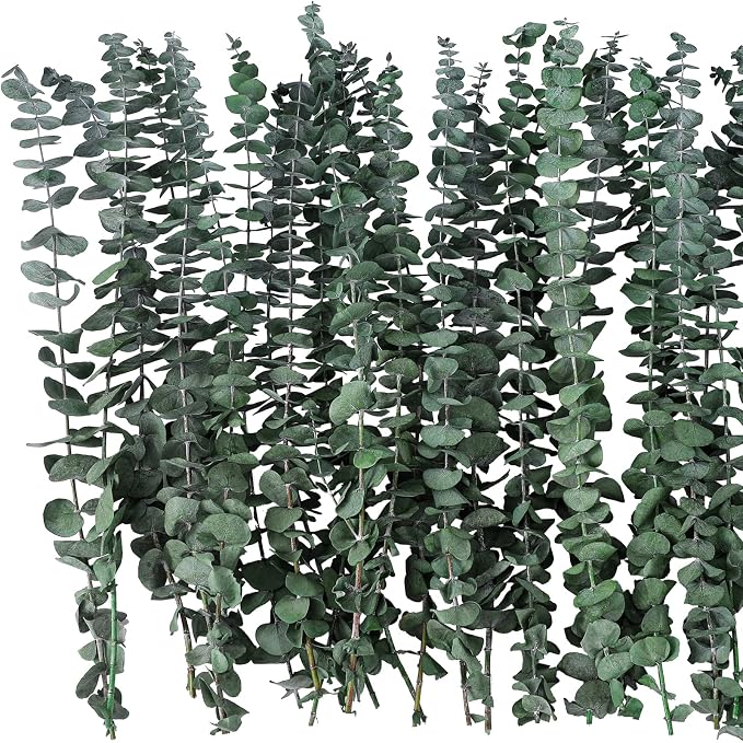 20 Pcs Dried Eucalyptus Stems 17" Real Eucalyptus - Image 2