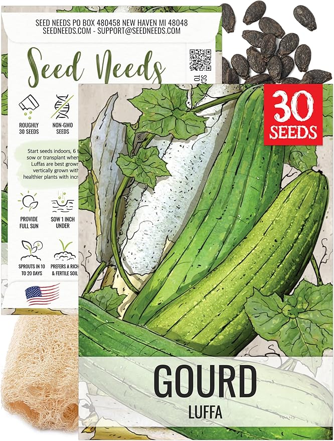 Seed Needs Luffa Seeds for Planting Loofah Sponge Gourds by SeedNeeds