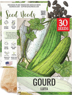Seed Needs Luffa Seeds for Planting Loofah Sponge Gourds by SeedNeeds