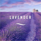 Febreze 300 ml Lavender Air Freshener Spray - Image 8