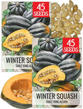 Seed Needs, Table King Acorn Winter Squash Seeds by SeedNeeds