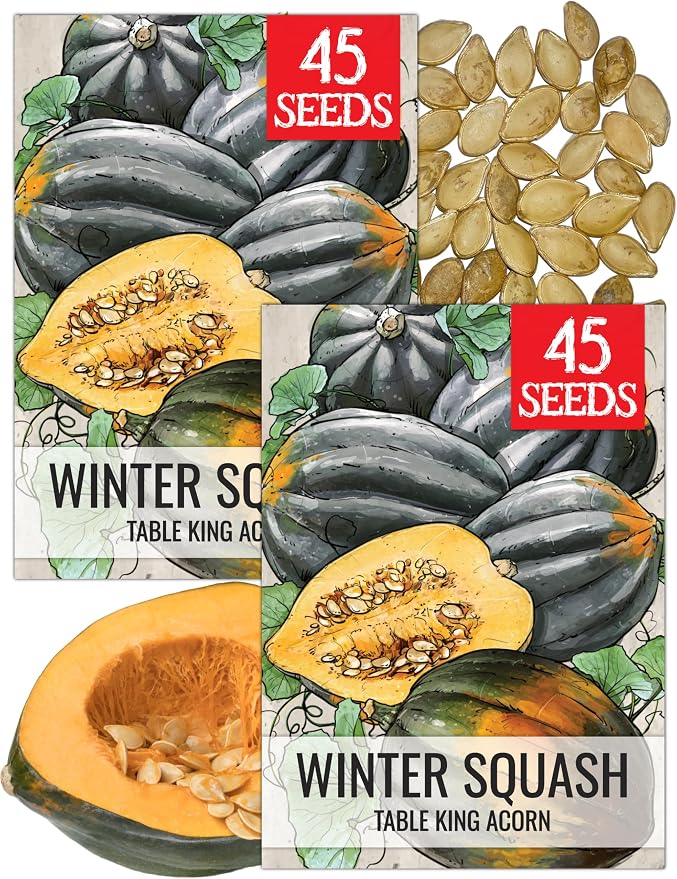 Seed Needs, Table King Acorn Winter Squash Seeds by SeedNeeds